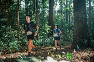 BIB: 
                            <button type="button" onclick="openModal(26077040)" class="btn btn-primary btn-sm float-right btn-popup" data-toggle="modal" data-target=".modal-high-quality">
                        <i class="fas fa-shopping-cart"></i> Add to Cart
                    </button>
                                            <button type="button" onclick="isThisMe(26077040, true)" class="btn btn-success btn-sm float-right btn-popup btn-isme hidden" data-toggle="tooltip" data-placement="bottom" title="นี่คือรูปของคุณใช่ไหม คลิกที่นี่เพื่อเอาเข้าอัลบั้ม">
                        <i class="fas fa-plus"></i> Add to album
                    </button>
                    <button type="button" onclick="isThisMe(26077040, false)" class="btn btn-warning btn-sm float-right btn-popup btn-isnotme hidden">
                        <i class="fas fa-ban"></i> Remove from album
                    </button>